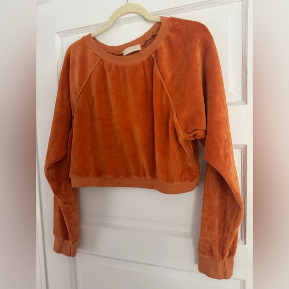 Suzie Kondi Cropped Velour Sweatshirt - Picture 2 of 5